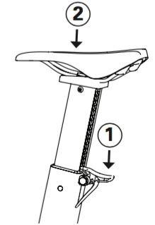 Line drawing shows that the ratchet lever is on the back of the seat post, where the post meets the BikeErg body. Push down on that first, then push down or pull up on the seat to adjust height.