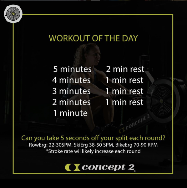 Working Out At Home Concept2